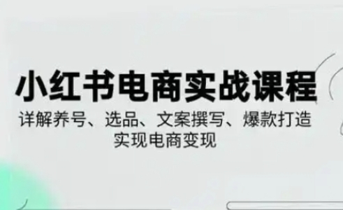 小红书从0-1实操课(2023-2025)，详解养号、选品、文案撰写、爆款打造实现电商变现-笑笑轻创