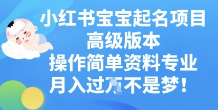 小红书宝宝起名项目高级版本,操作简单,资料专业,月入过W-笑笑轻创