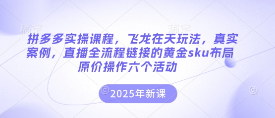 拼多多实操课程，飞龙在天玩法，真实案例，直播全流程链接的黄金sku布局原价操作六个活动-笑笑轻创