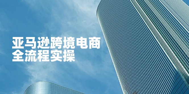 (14252期)亚马逊跨境电商全流程实操,教你从零开始,掌握店铺运营与广告技巧-笑笑轻创
