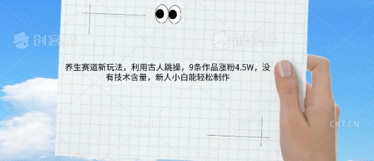 AI养生赛道新玩法，10条作品涨粉5.2W，操作简单，新人小白能轻松制作-笑笑轻创