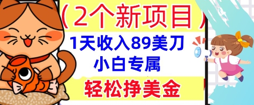2个新项目,轻松挣美金, 1天收入89美刀,小白专属,干货分享-笑笑轻创