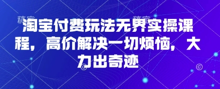淘宝付费玩法无界实操课程，高价解决一切烦恼，大力出奇迹-笑笑轻创