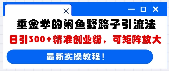 重金学的闲鱼野路子引流法,日引300+精准创业粉,可矩阵放大-笑笑轻创