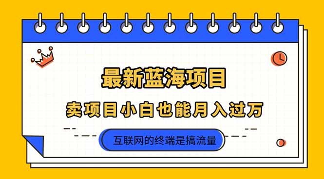 (14289期)2025年最新蓝海项目,卖项目小白也能月入过万-笑笑轻创