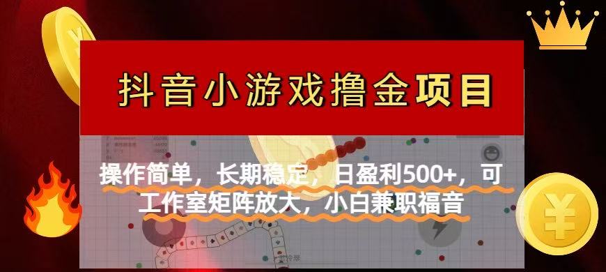 （14290期）【抖音小游戏发行人计划项目】操作简单，长期稳定，日盈利500+，可工作...-笑笑轻创