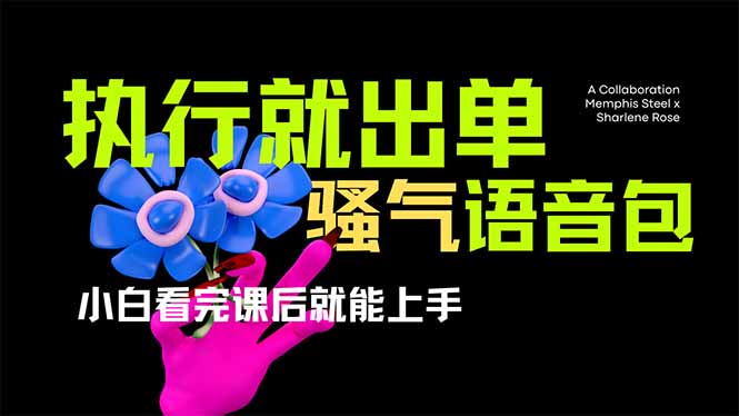 （14170期）爆火全网的开车导航骚气语音包,只要执行就出单，小白看完课程就能实操...-笑笑轻创